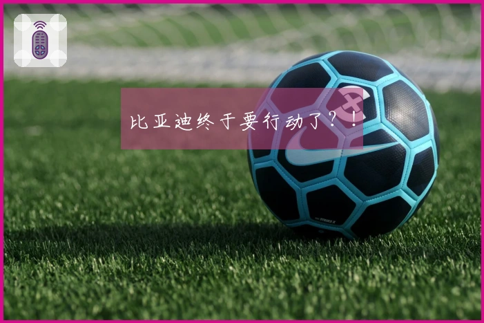 比亚迪终于要行动了？！
